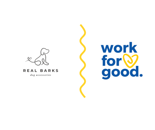 Real Barks, Real Impact: Our Partnership with Work for Good