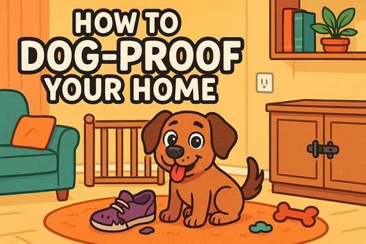 Creating a Safe Haven: How to Dog-Proof Your Home and Avoid Common Hazards