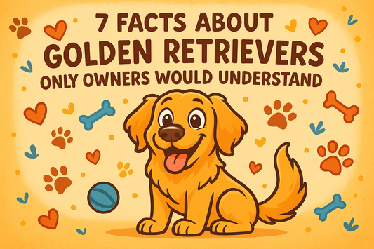 7 Facts About Golden Retrievers Only Owners Would Understand