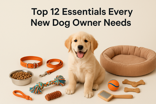 Top 12 Essentials Every New Dog Owner Needs (According to Vets)