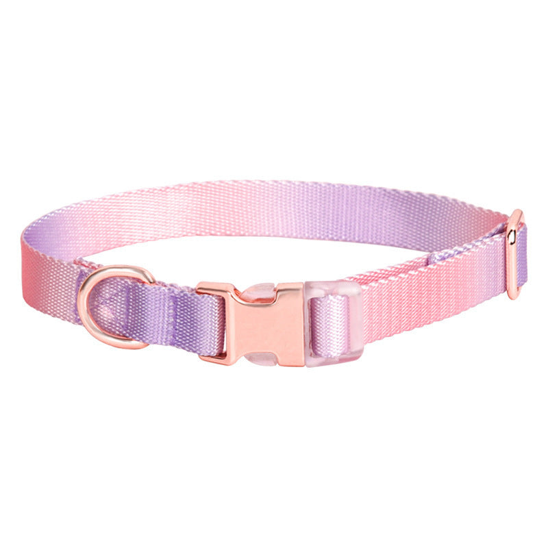 Adjustable Gradient Nylon Dog Collar | Stylish Collar For All Dogs Semimetal Purple powder / L collar