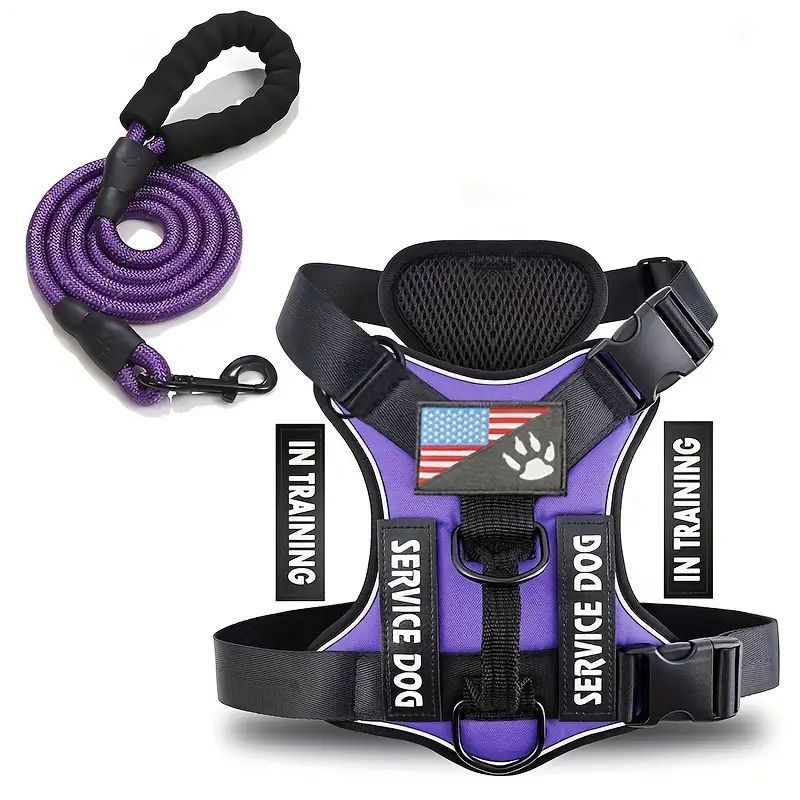 Adjustable Nylon Dog Harness and Leash Set with Hand Grip - Purple / L - Accessories