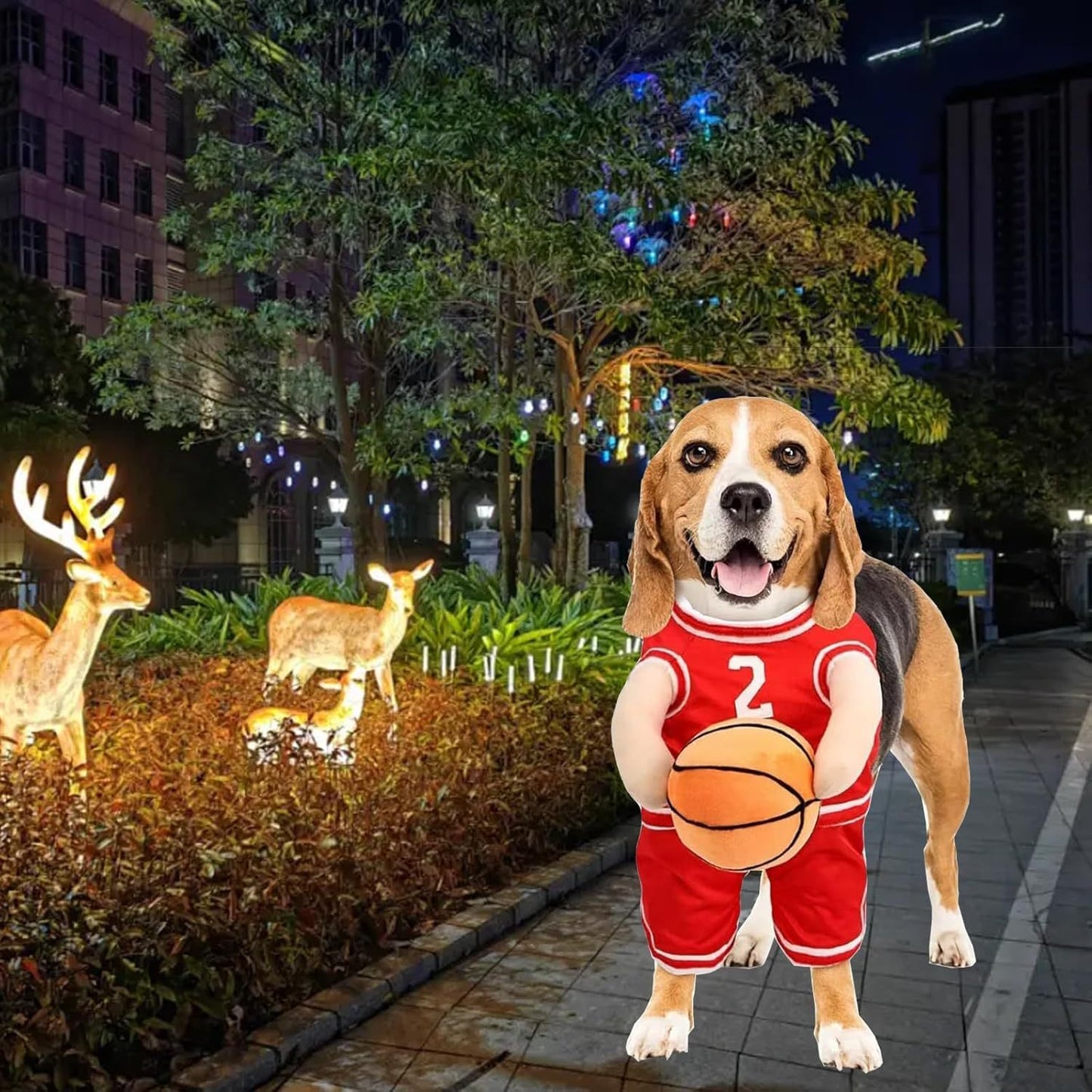 Funny Basketball Player Dog Costume | Halloween And Party Outfit for Dogs beds