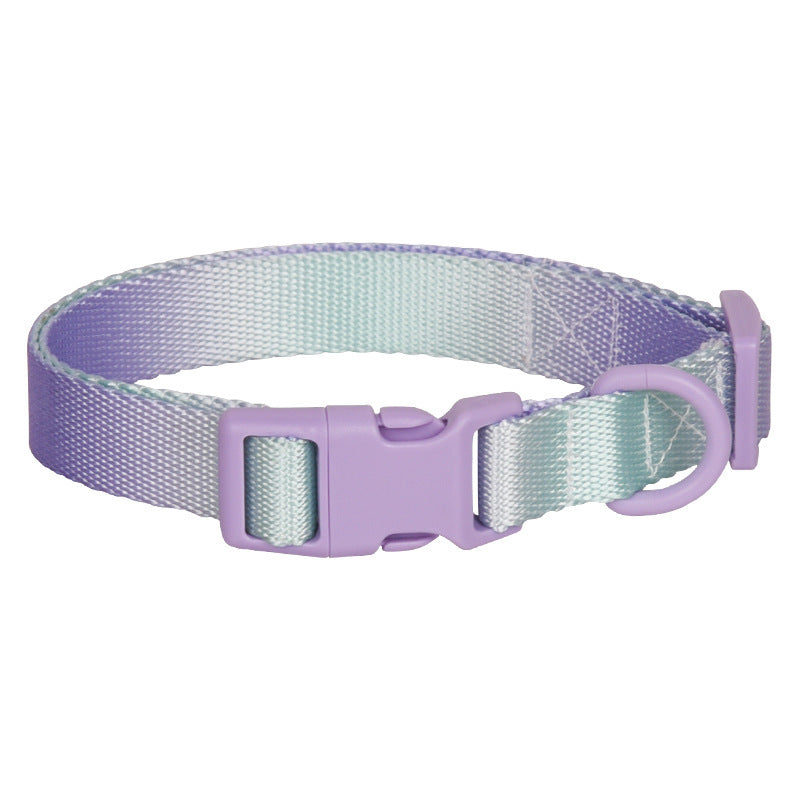 Adjustable Gradient Nylon Dog Collar | Stylish Collar For All Dogs Plastic purple green / L collar