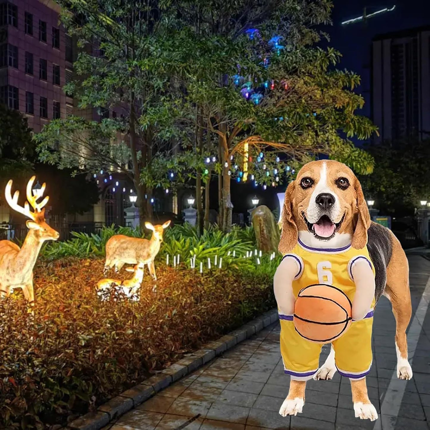 Funny Basketball Player Dog Costume | Halloween And Party Outfit for Dogs beds