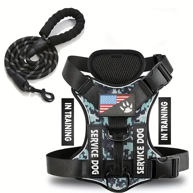 Adjustable Nylon Dog Harness and Leash Set with Hand Grip - Accessories