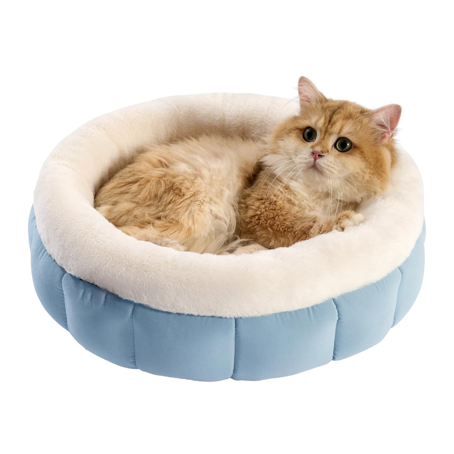 Washable Donut Dog Bed For Dogs | Calming Plush Cushion for Dogs Blue / L beds