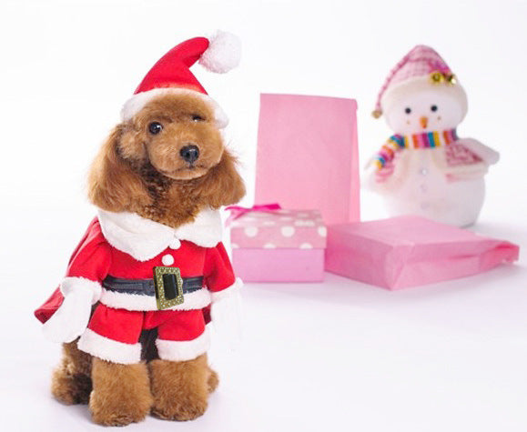 Festive Christmas Dog Sweatshirt Holiday Pet Dog Apparel christmas