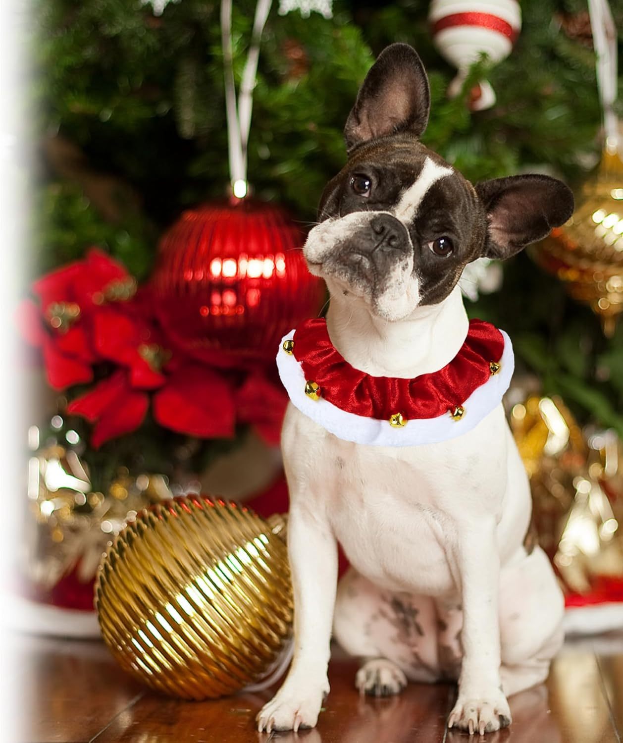 Christmas Dog Collar with Bells & Ornaments Holiday Dog Neckwear christmas