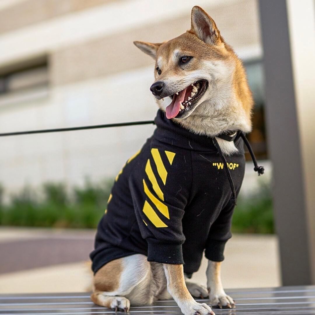 Sports Style Three Stripe Dog Sweater | Warm Fashionable Winter Dog Coat beds