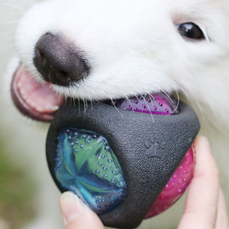 Durable Rubber Squeaky Dog Toy Ball Glow in the Dark Dog Toy Black Accessories