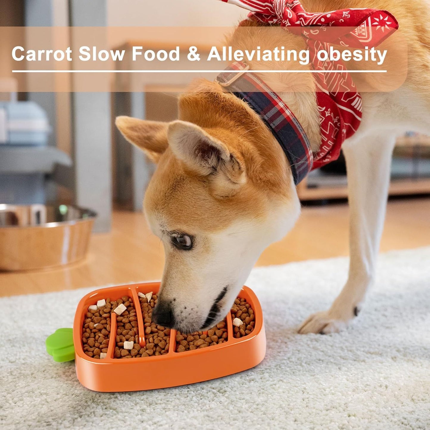 Carrot Design Slow Feeder Dog Bowl | Non Slip Dog Dish for All Dogs home