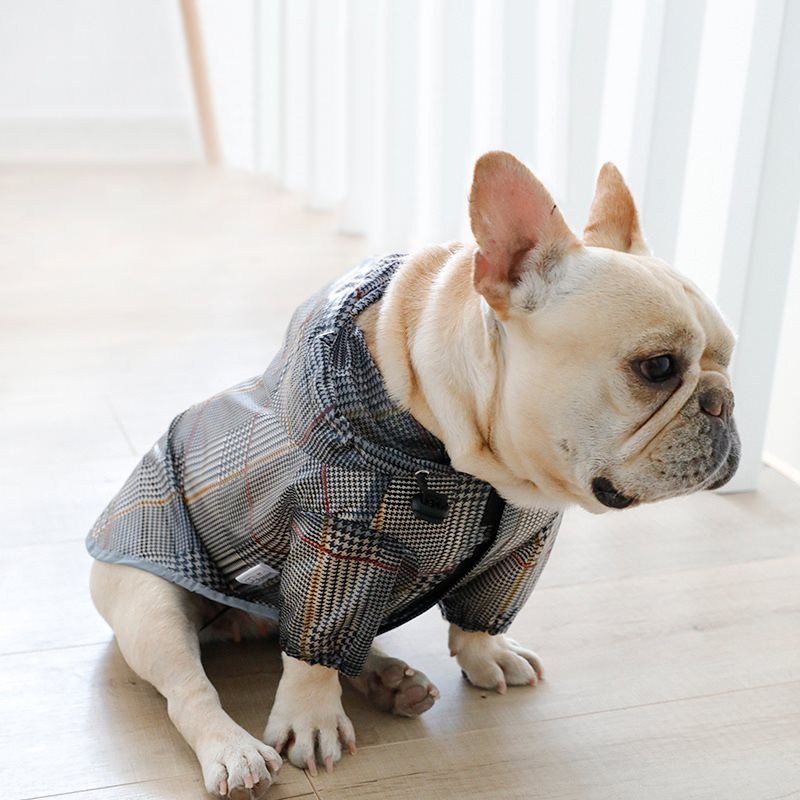 Plaid Dog Raincoat: Tear-Resistant Two-Legged Dog Waterproof Jacket in Grey - Accessories