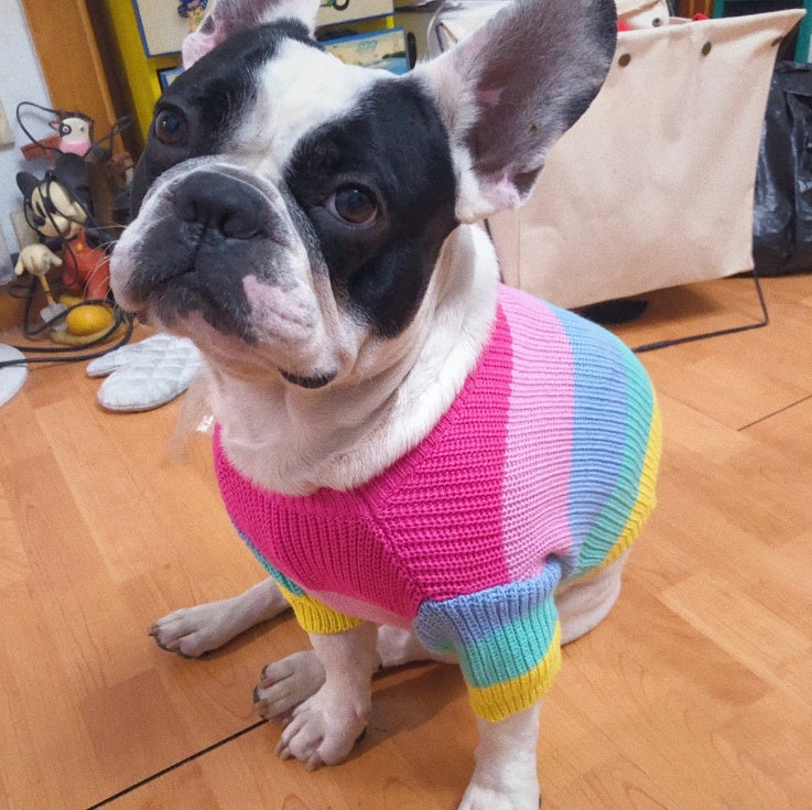 Rainbow Knit Dog Sweater: Warm Wool Pullover for Small to Large Dog Breeds Accessories