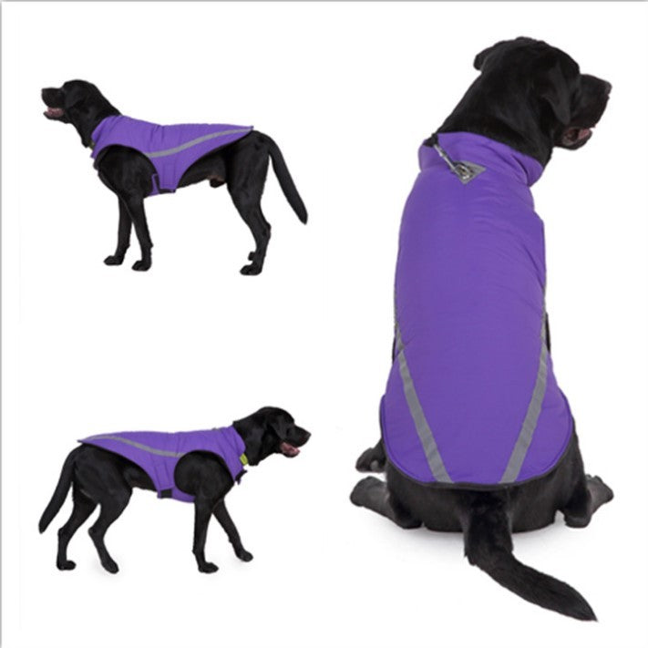 Warm Winter Dog Coat | Autumn Dog Jacket for Small to Large Dogs - Purple / L - coats