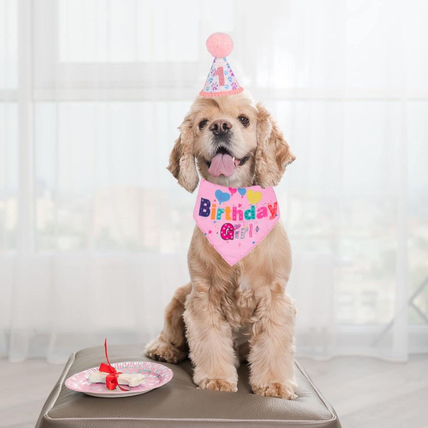 Deluxe Dog Birthday Party Set: Customizable Dog Hat Bandana And Bow Tie for Dog’s Birthdays birthday
