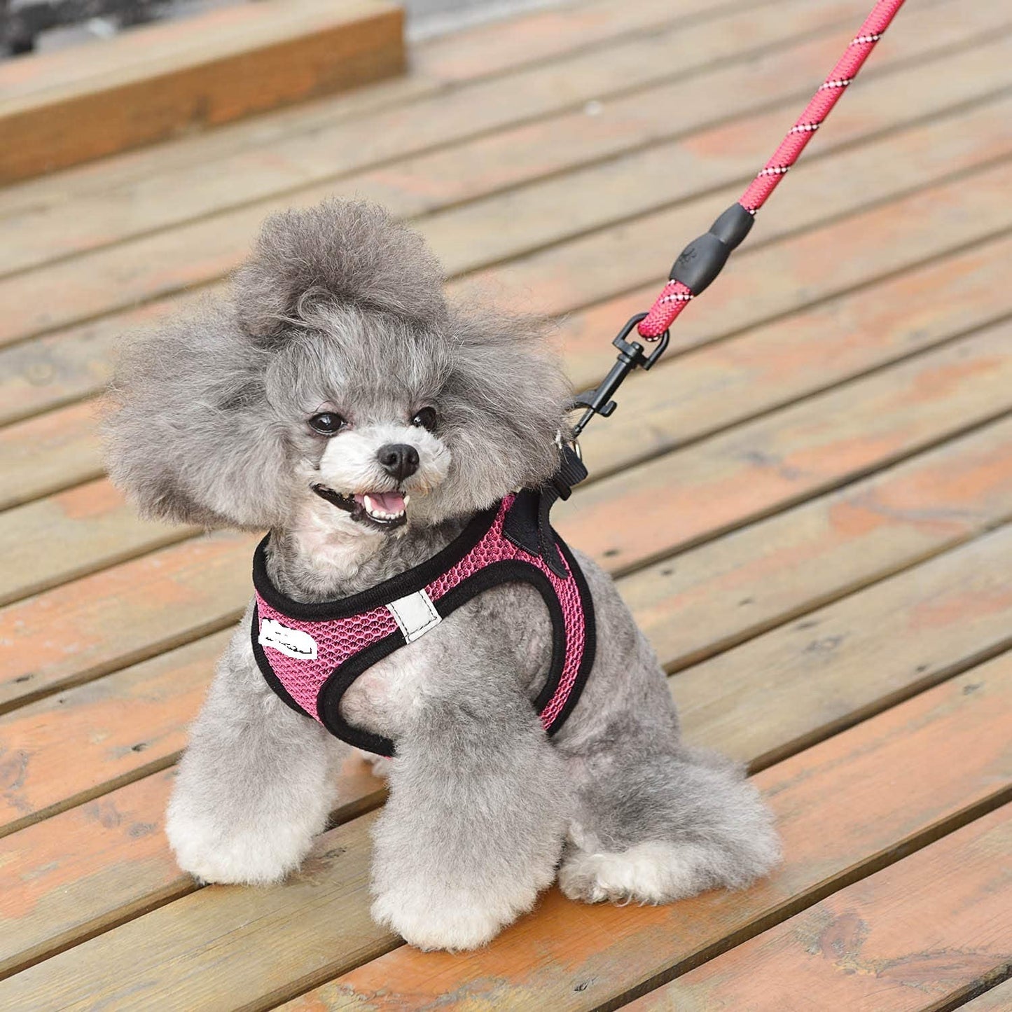 Reflective Nylon Dog Harness and Leash Set for Night Walks - Accessories
