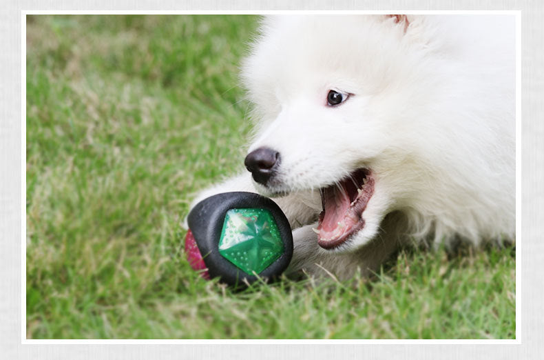 Durable Rubber Squeaky Dog Toy Ball Glow in the Dark Dog Toy Black Accessories