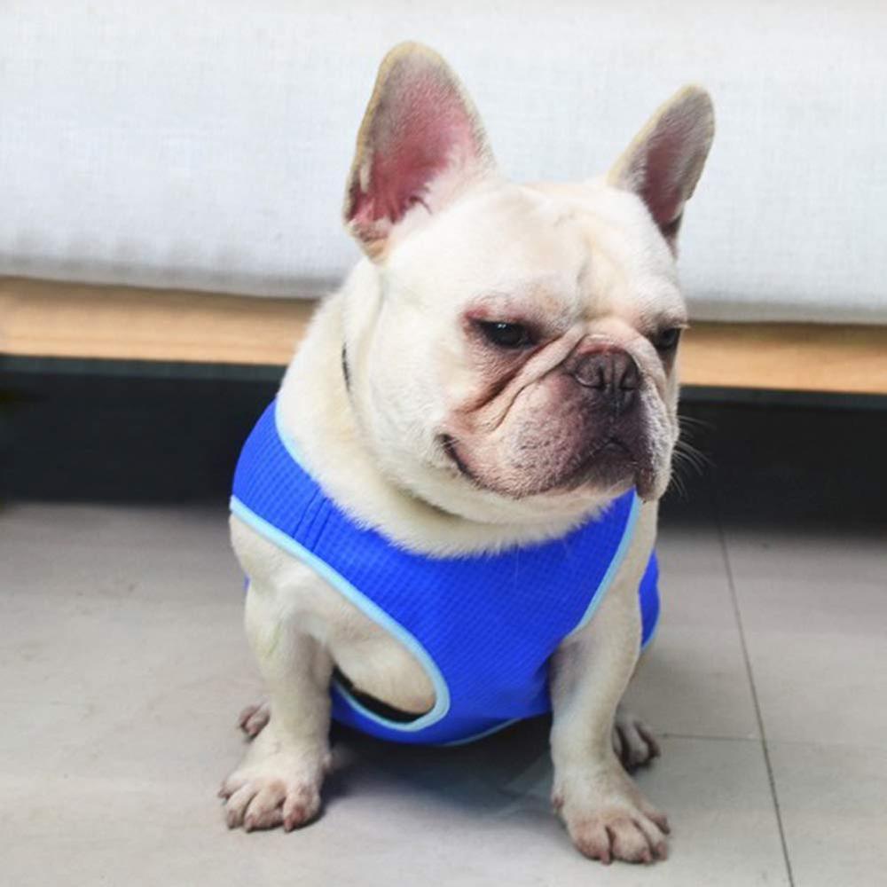 Lightweight Dog Cooling Vest | Summer Jacket for Dogs - coats