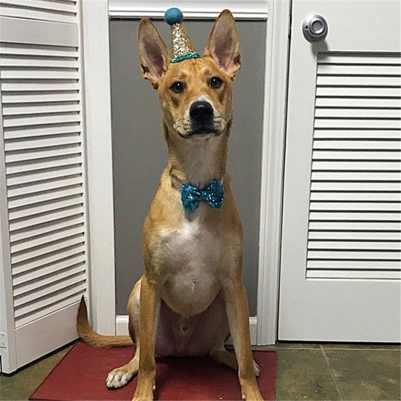 Sequin Solid Color PU Dog Bow Tie | Puppy And Small Dog Accessory bow