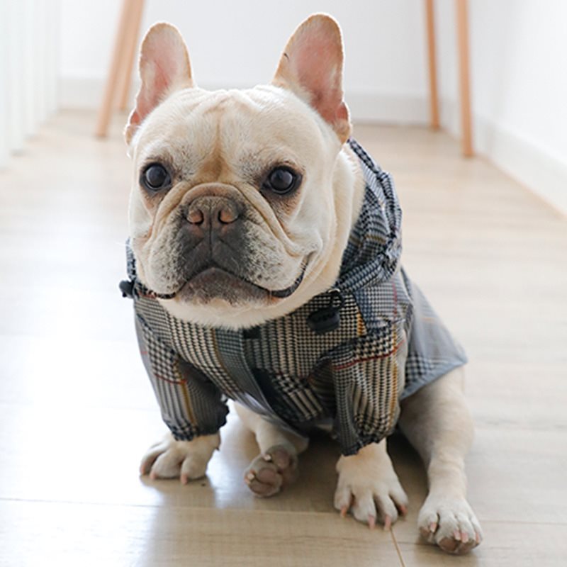 Plaid Dog Raincoat: Tear-Resistant Two-Legged Dog Waterproof Jacket in Grey - Accessories