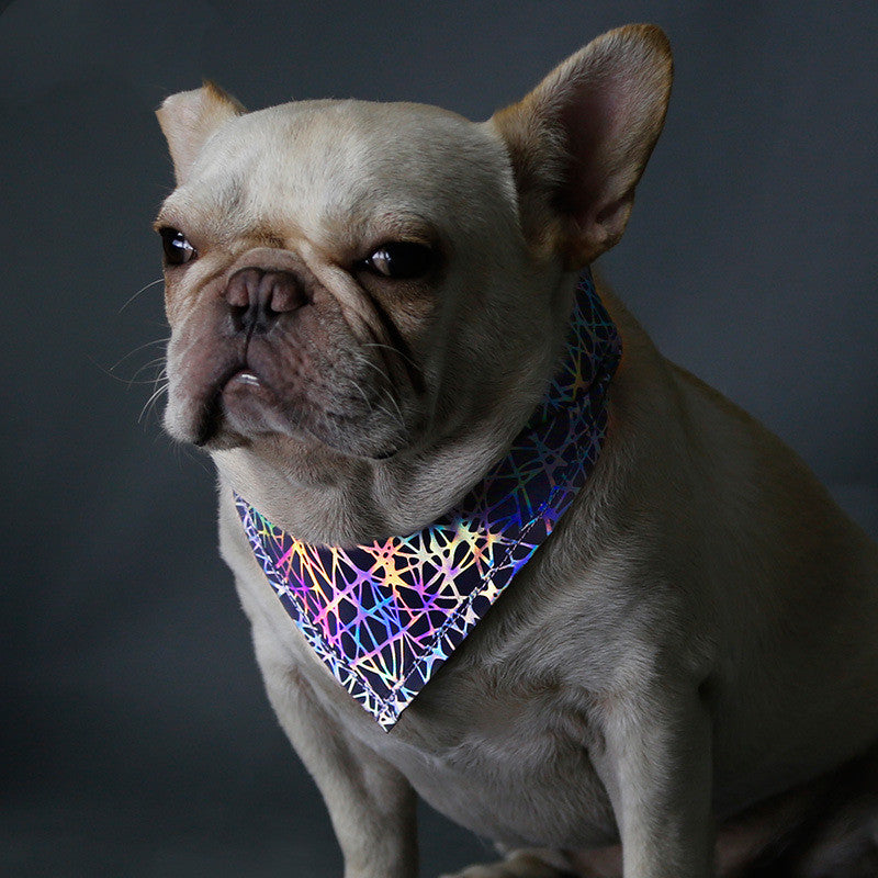 Dog Scarf And Saliva Towel: Grey Polyester Dog Bandana Accessories