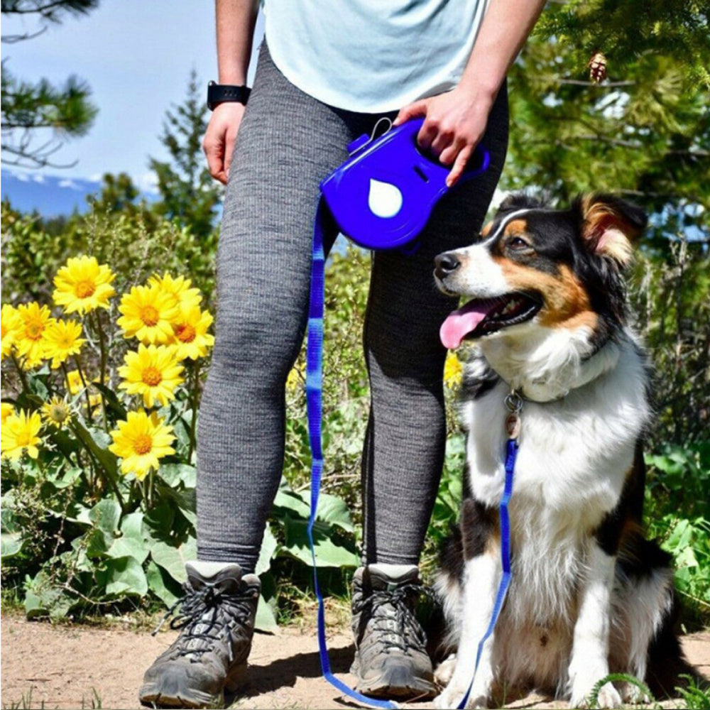 Ergonomic Retractable Dog Leash For Dogs of All Sizes Accessories
