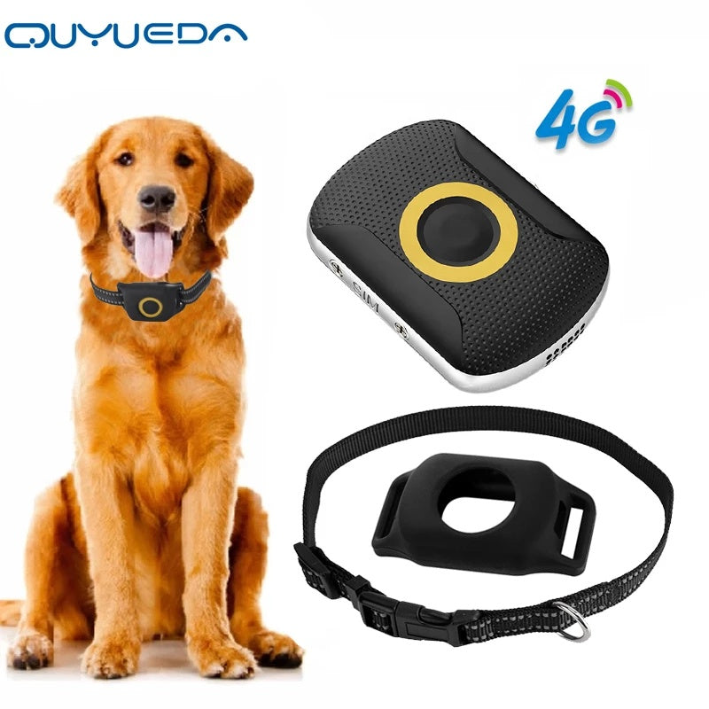 Real-time GPS And 4G Dog Tracker with Collar | Waterproof Dog Collar Safety Device - Black - collar