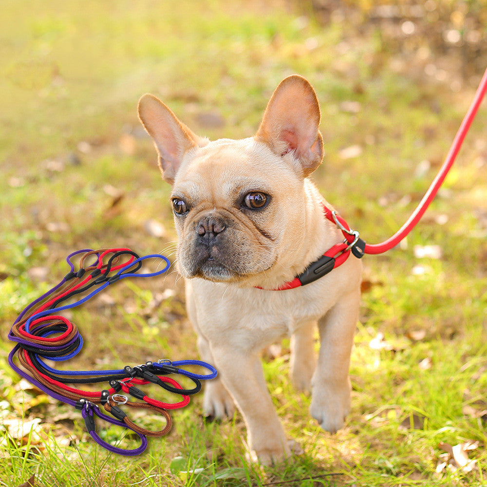 Durable Nylon Dog Leash: Perfect for Small Medium And Large Dogs - Accessories