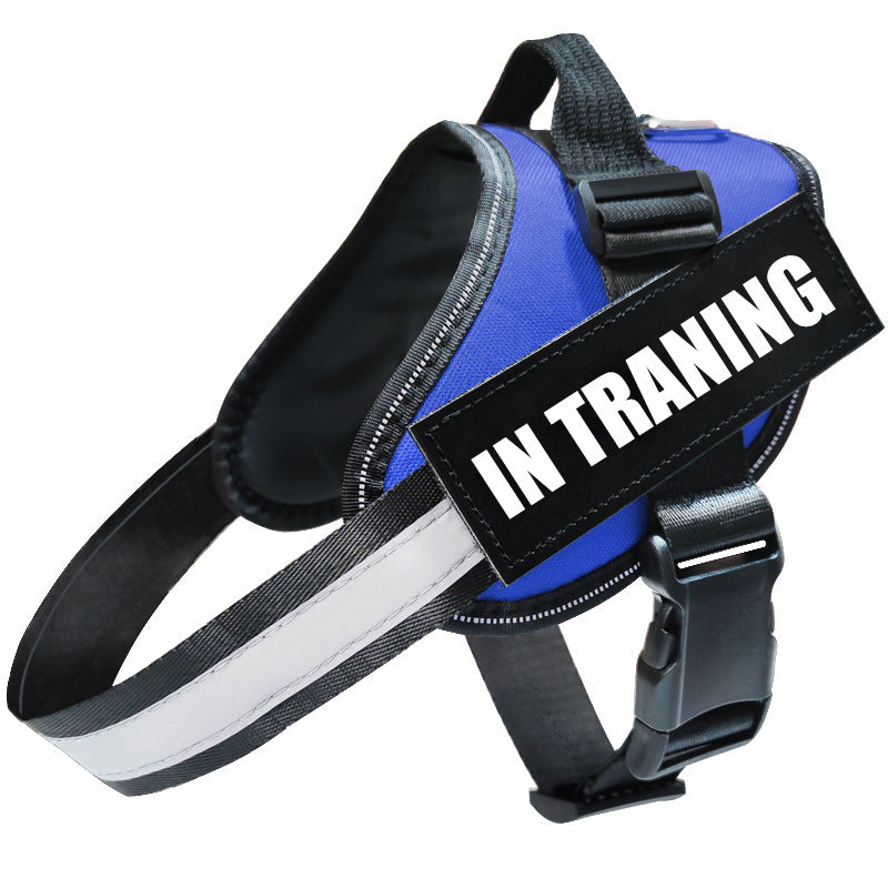 Adjustable Reflective Dog Harness | Dog Vest with Chest Strap - Blue / 2XL - harness