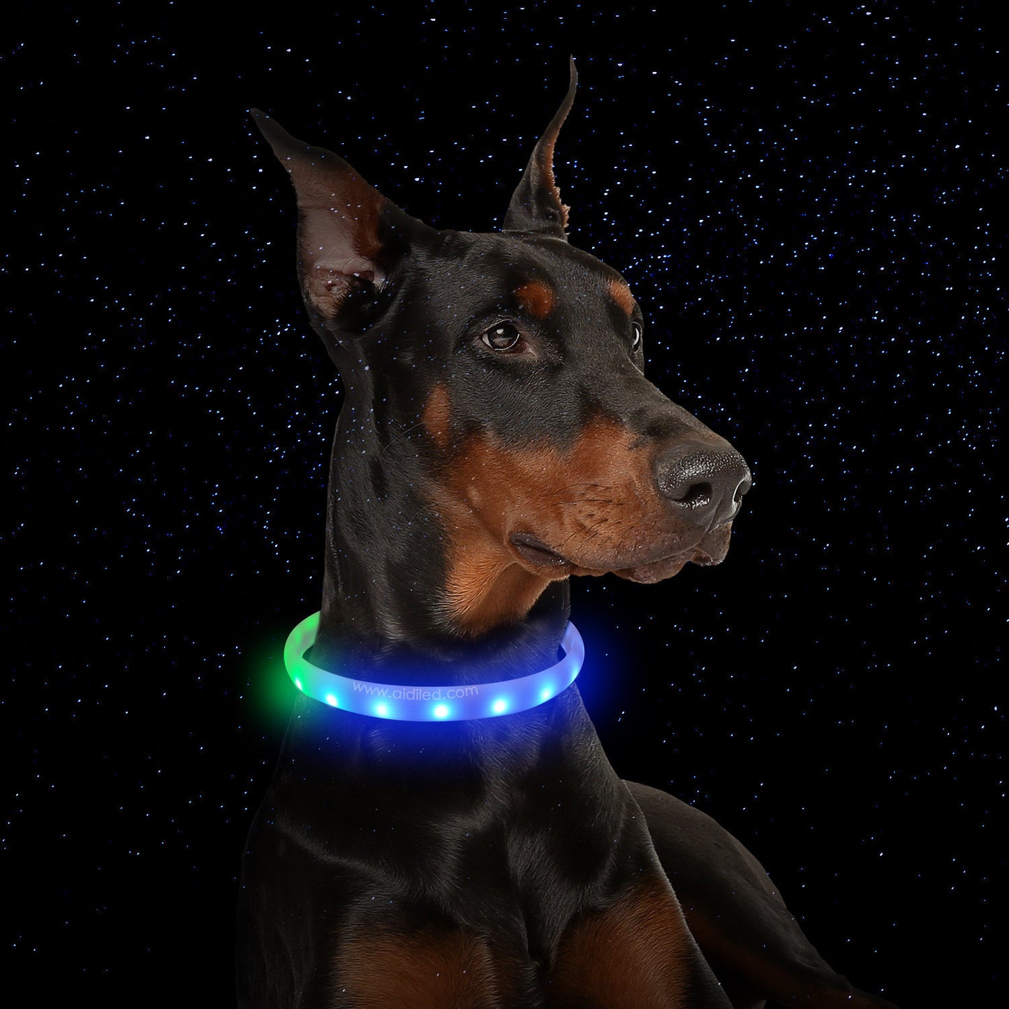 Rechargeable LED Dog Collar | Anti-Lost Safety Dog Collar - White / L / USB - Dog Collars & Leashes