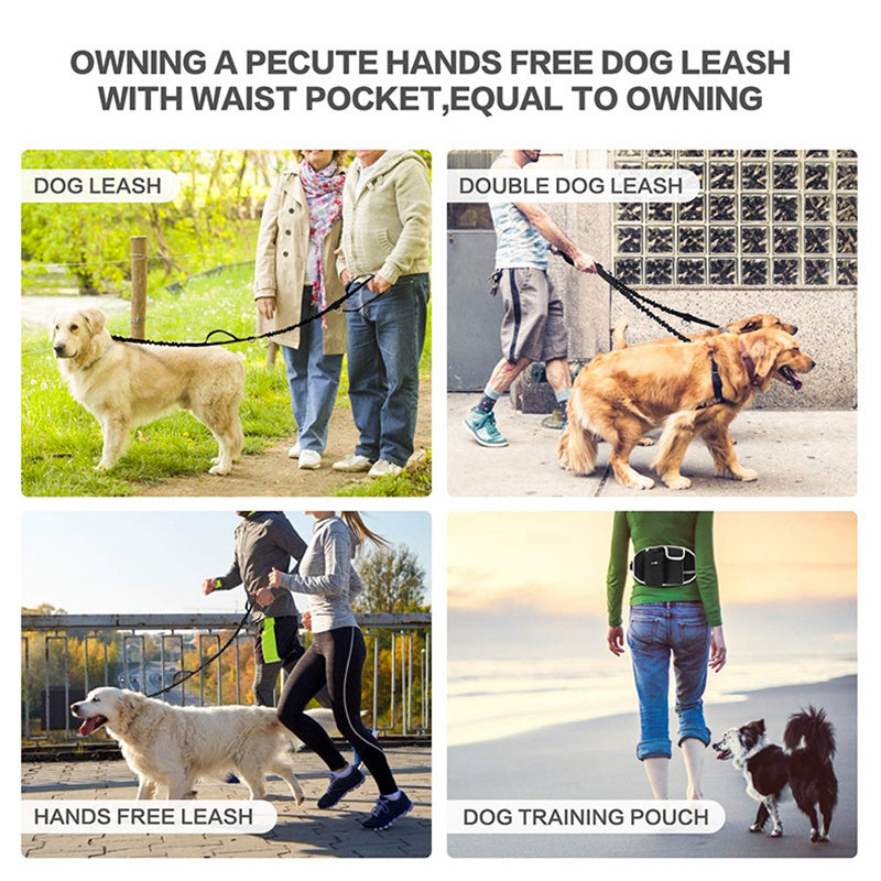 Hands Free Dog Training Leash And Waist Bag Set | Outdoor Pouch for Training With Dogs leash