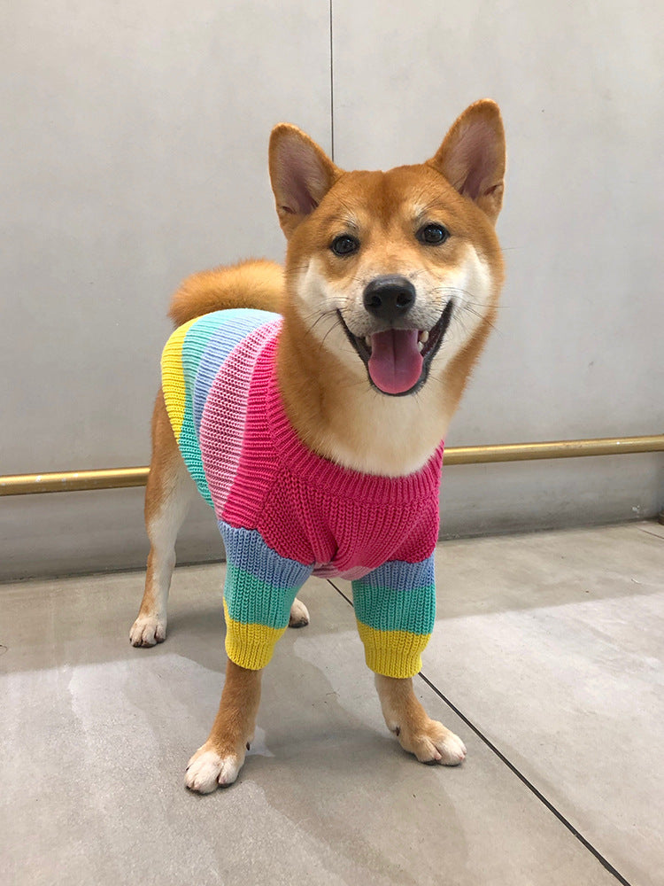 Rainbow Dog Sweater: Soft Wool Knit Dog Jumper for All Seasons Accessories