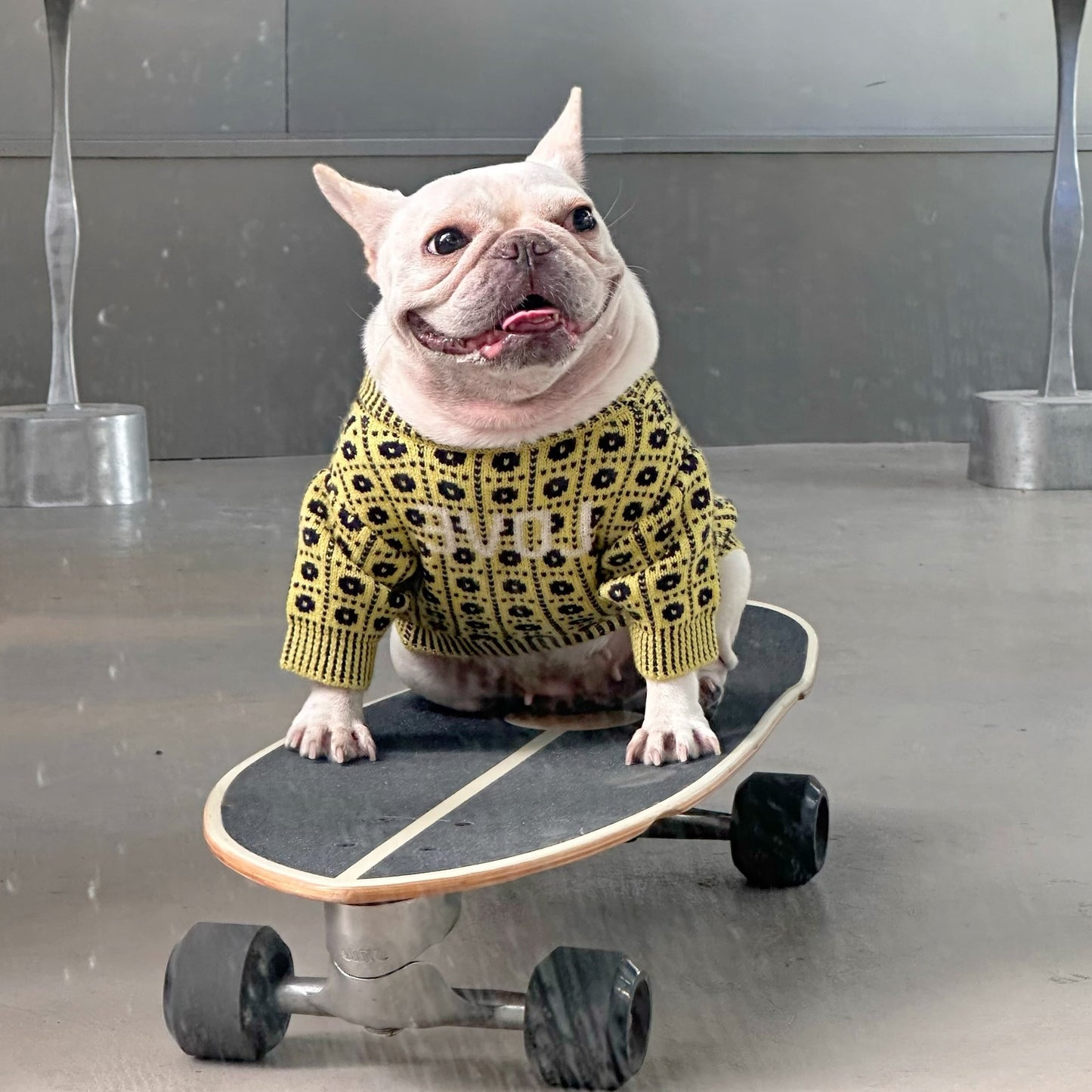 Dog Winter Sweater: Cozy Wool Dog Pullover with Matching Hat Option Accessories