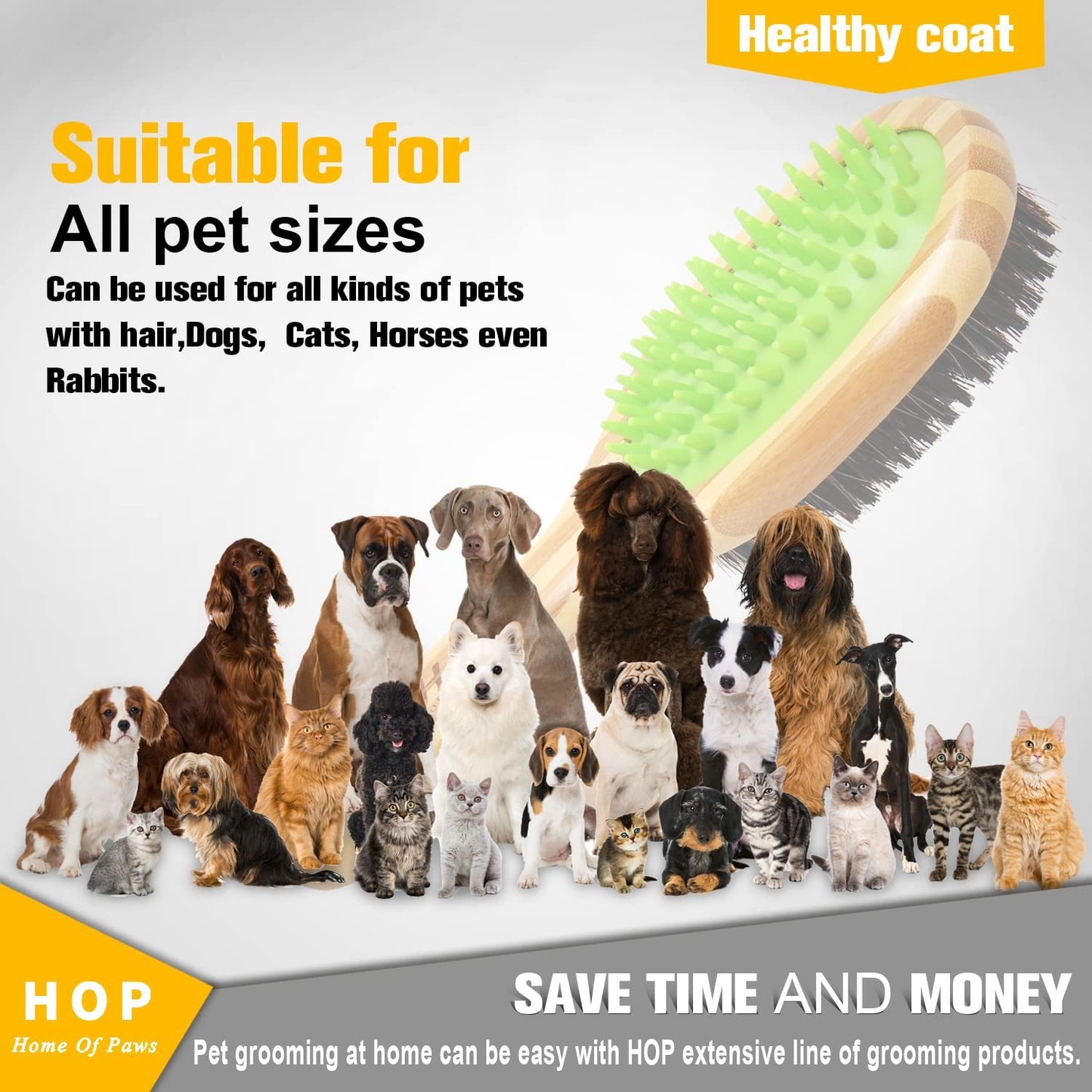 Home of Paws Two Sided Dog Brush | Grooming Comb for Short Hair Coats Green fashion