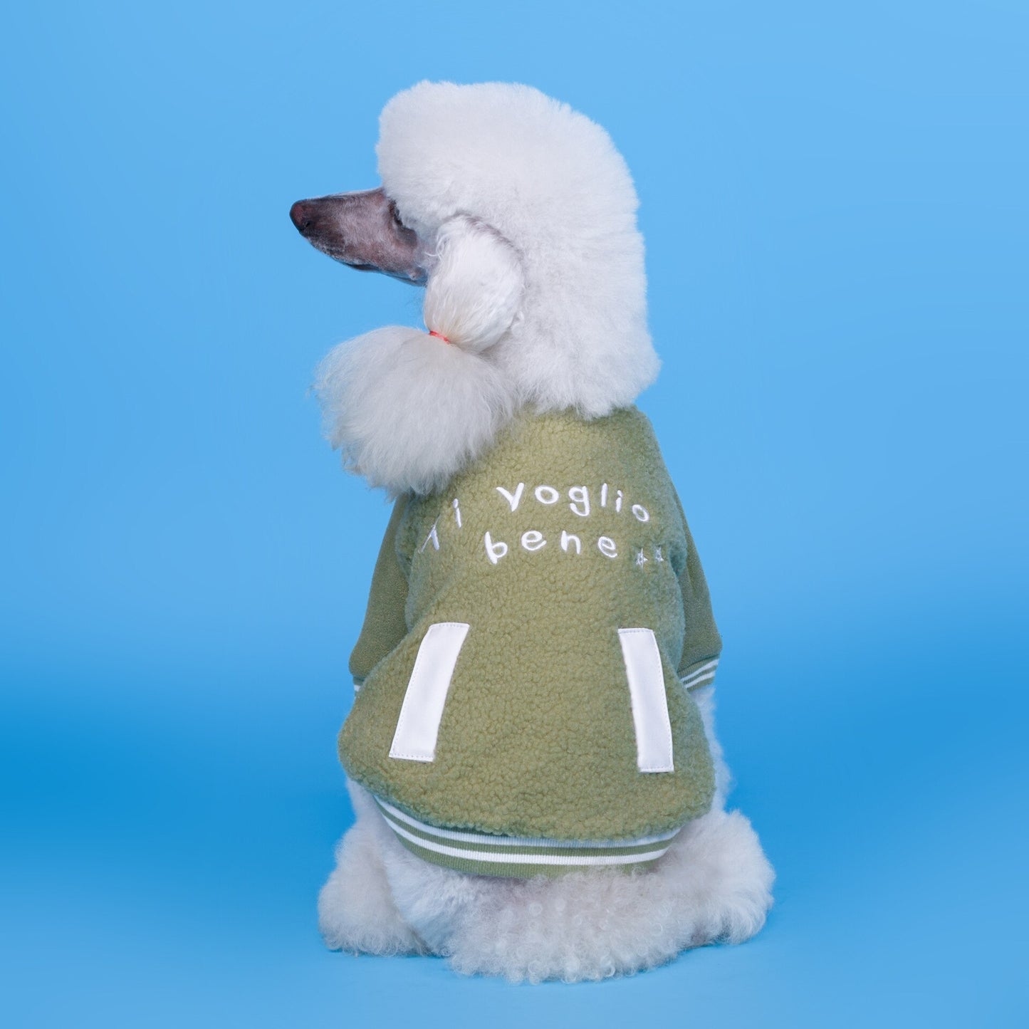 Plaid Dog Winter Coat | Casual Cotton Jacket for Dogs - Coats & Dog Vests