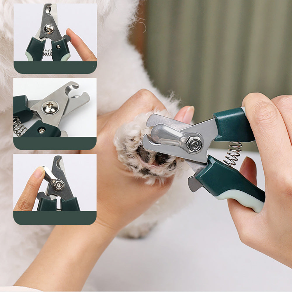 Professional Dog Grooming Kit with Cordless Clippers 8in1 home