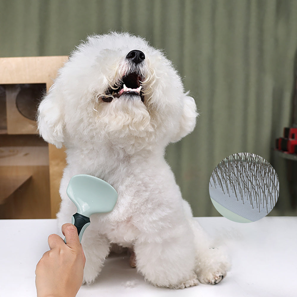 Professional Dog Grooming Kit with Cordless Clippers 8in1 home