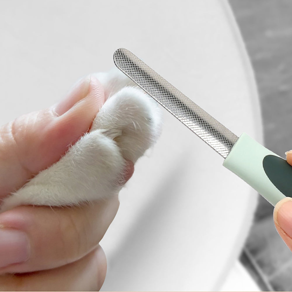 Professional Dog Grooming Kit with Cordless Clippers 8in1 home