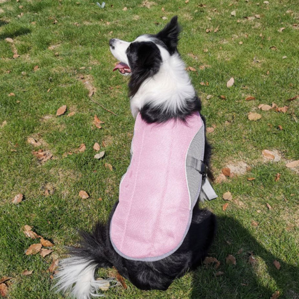 Breathable Summer Dog Cooling Vest | Heat-Resistant Dog Jacket - coats