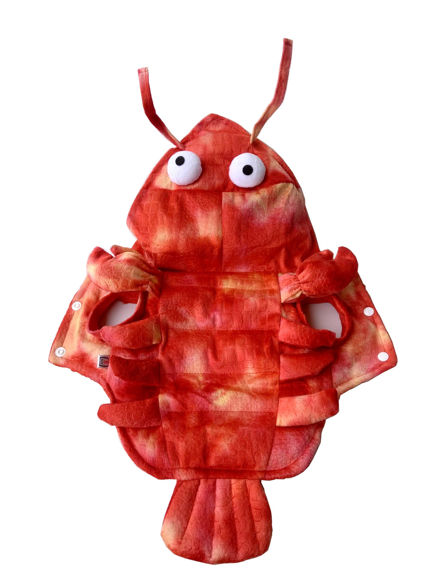 Lobster Halloween Dog Costume | Funny Two Legged Outfit for Dogs beds