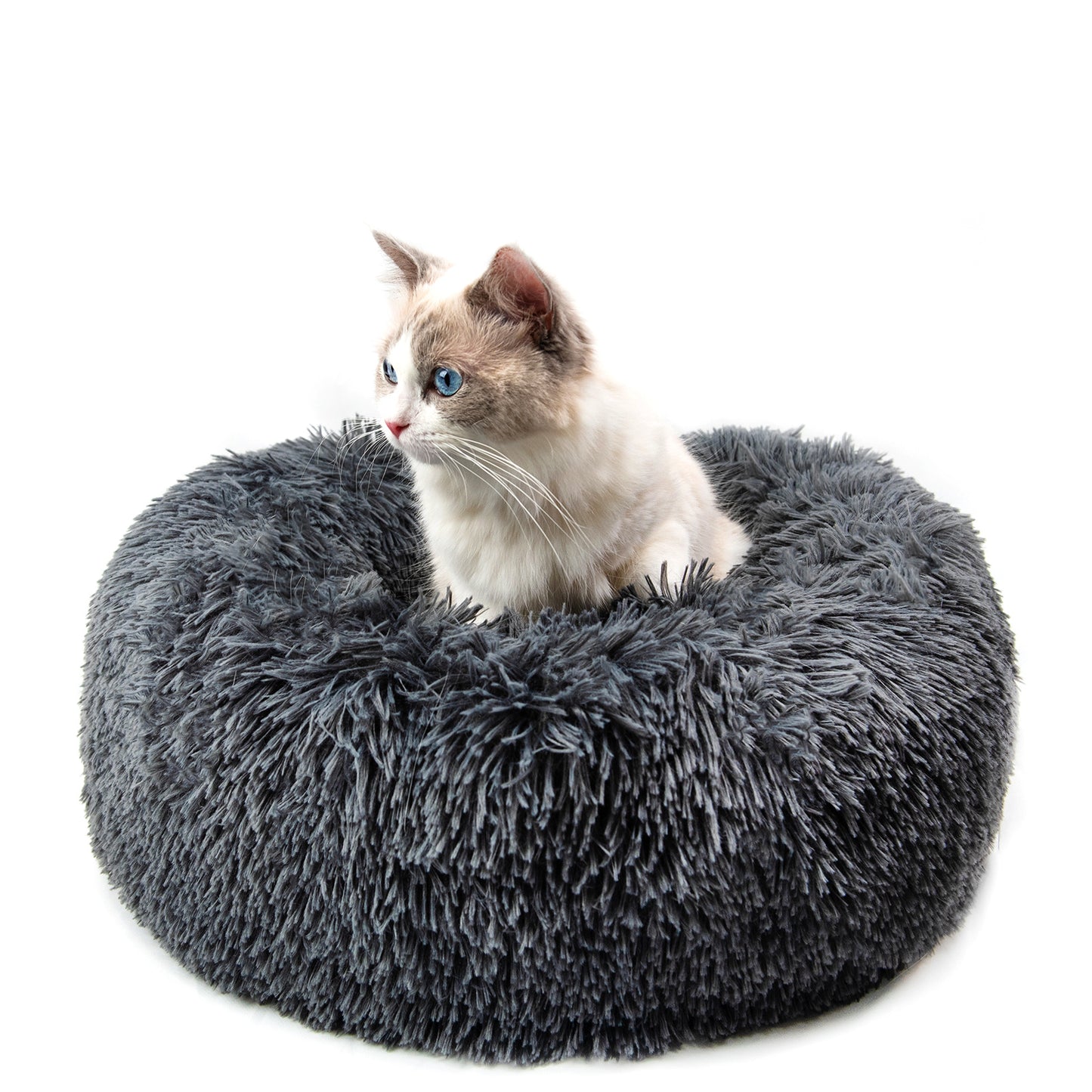 Calming Donut Dog Bed | Washable Plush Dog Cushion for Anxiety Relief Dark Grey / 15.7X7.9inch beds