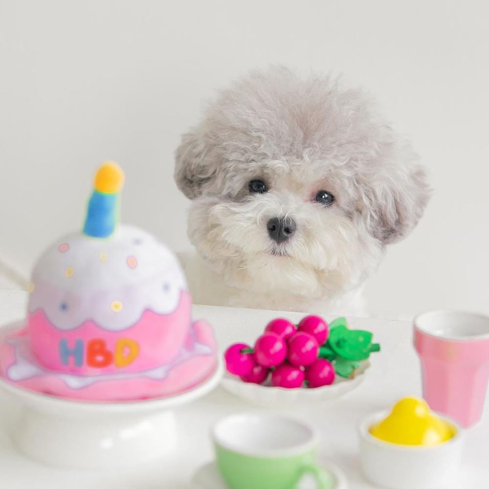 Cute Dog Birthday Hat Creative Party Accessory Cake hat birthday