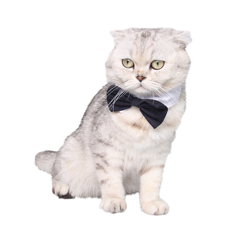 British Style Dog Bow Tie | Cotton Dog Necktie in Multiple Colors bow