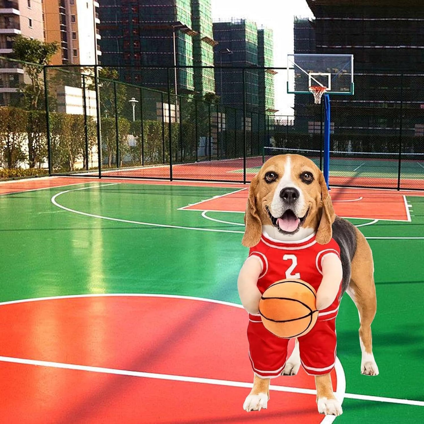 Funny Basketball Player Dog Costume | Halloween And Party Outfit for Dogs beds