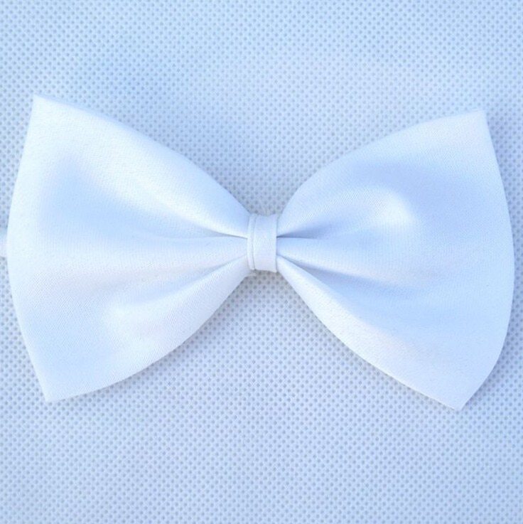 Adjustable Dog Bow Tie And Neck tie | Colorful Dog Accessory White beds