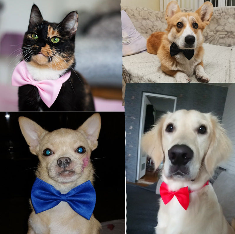 Adjustable Dog Bow Tie for Dogs Multiple Colors Bow Ties For Dogs Random delivery / 1pc Accessories