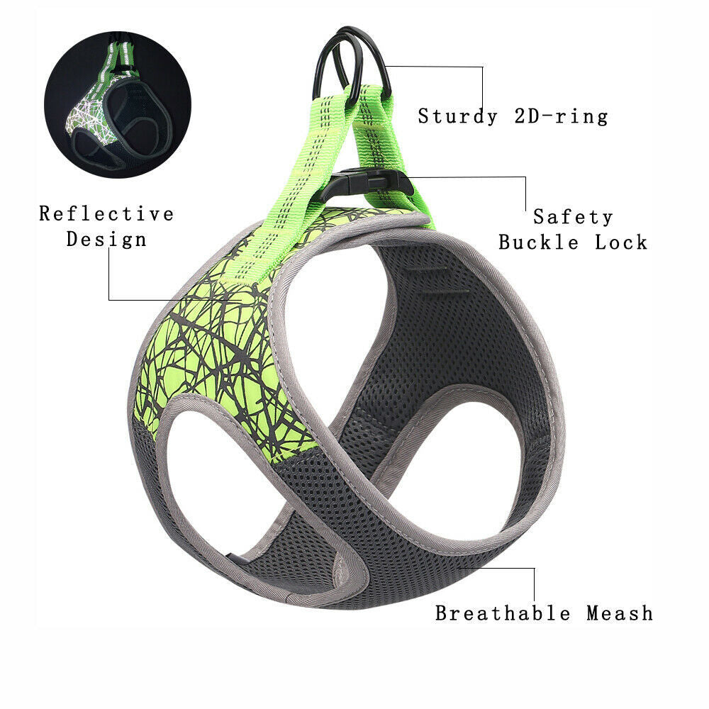 Adjustable Dog Harness And Leash Set | Breathable Dog Vest - harness