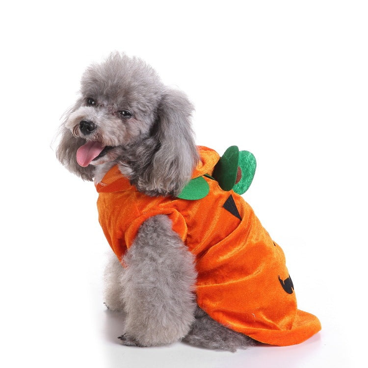 Funny Halloween Dog Costumes Polyester Dog Apparel Pumpkin / L halloween