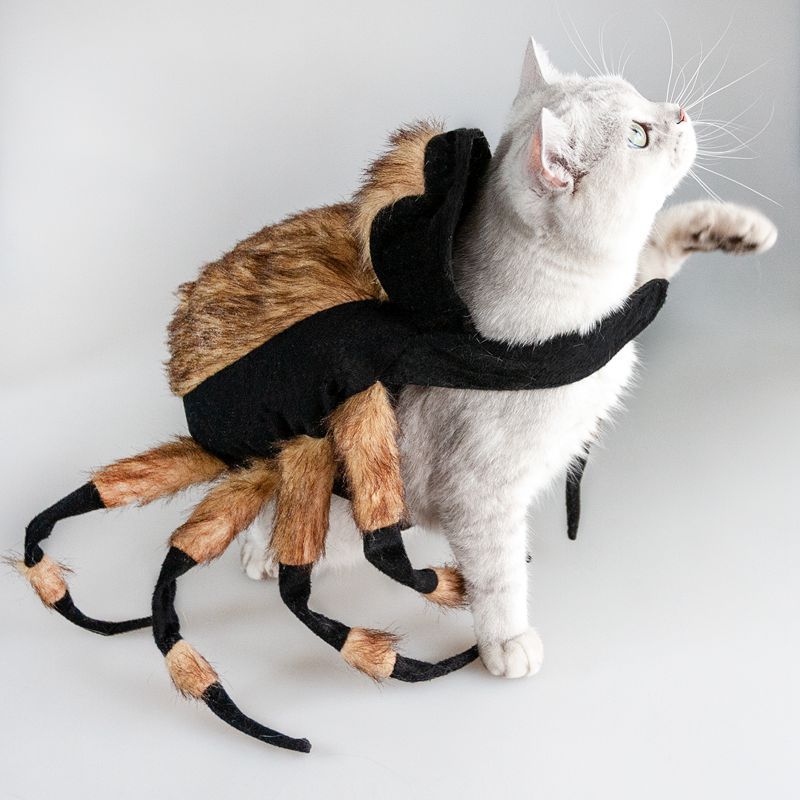 Halloween Dog Spider Costume for Small Dogs | Adjustable 8 Legged Dog Outfit for Parties Pet clothes / S costumes